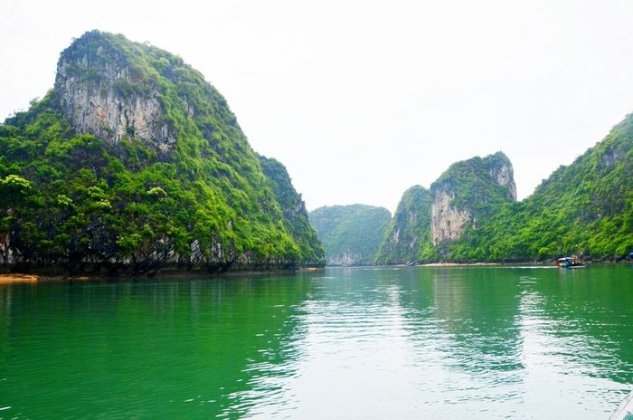 đảo Ti Tốp Hạ Long