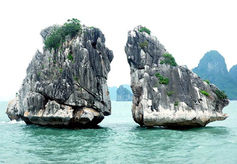 Hòn Trống Mái Hạ Long