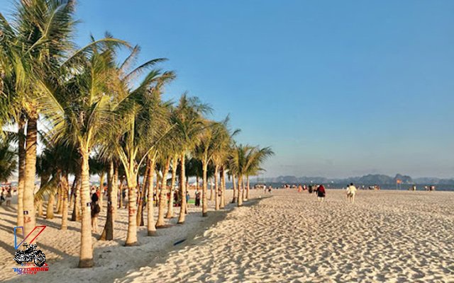 Những tiêu chí lựa chọn cần biết khi thuê xe du lịch Bãi Cháy