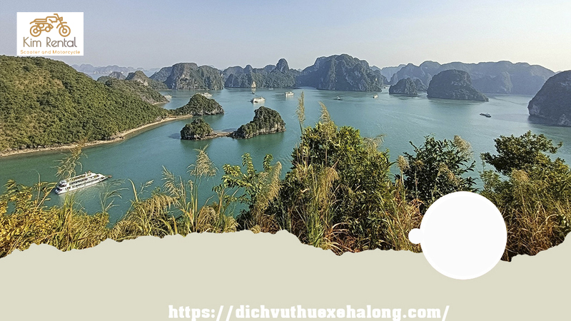 Du khách có thể đi thuyền trên dòng sông Ngo Dong và ngắm nhìn những ngọn núi đá vôi cao trùng điệp