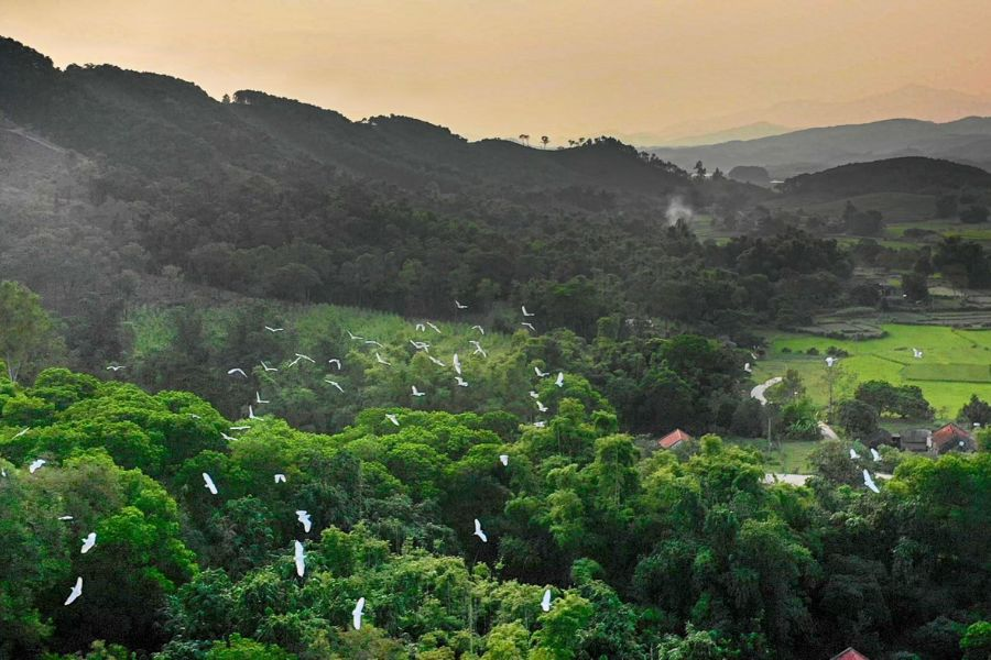 Phong cảnh núi Hứa Đầm Hà