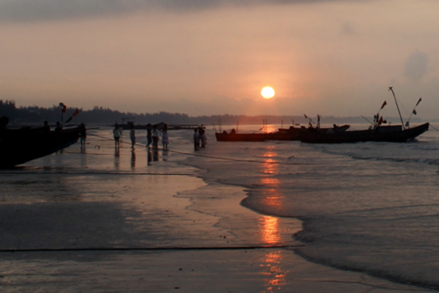 Trải nghiệm Trà Cổ đặc trưng