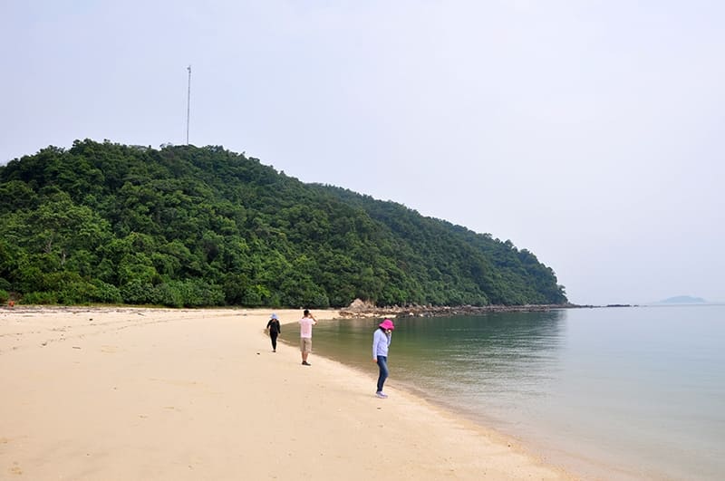 dao da dung