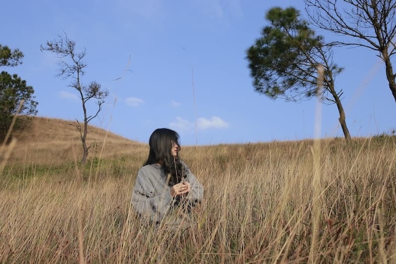 dinh binh huong 