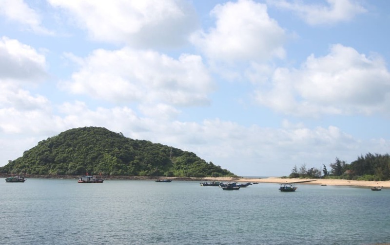 dao cai chien 