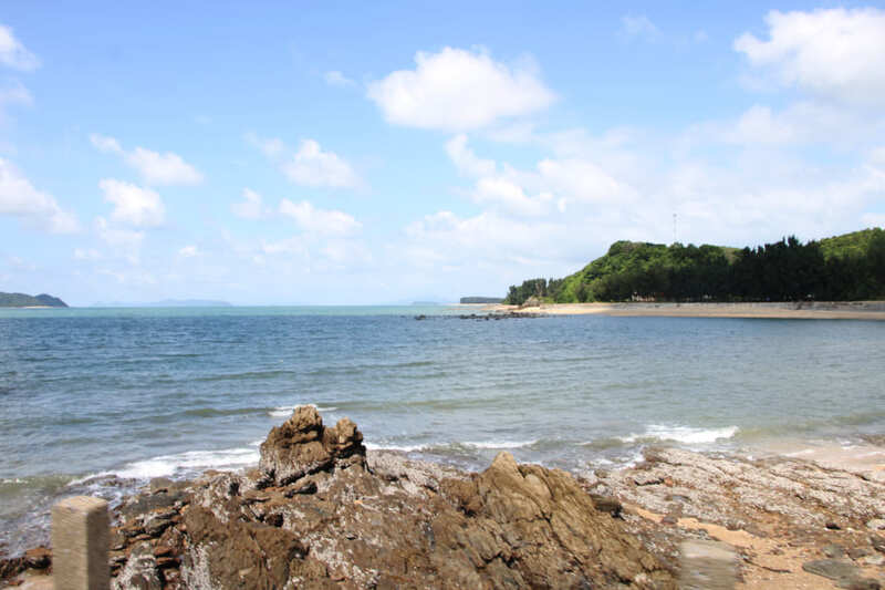 dao cai chien 