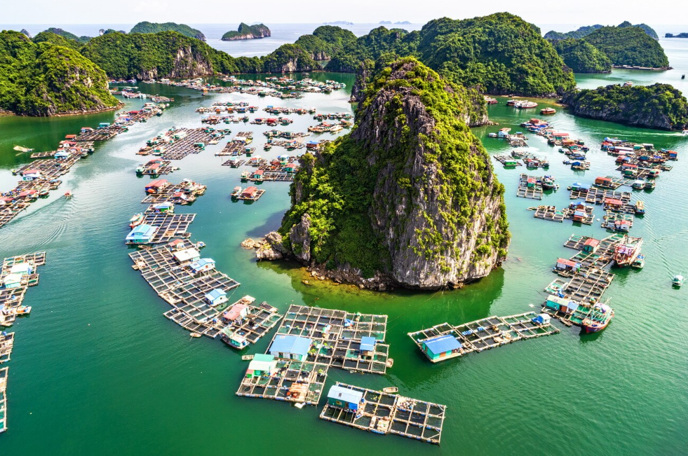 Thuê Xe Máy Đi Đảo Tuần Châu – Tự Do Di Chuyển, Khám Phá Mọi Góc Nhìn