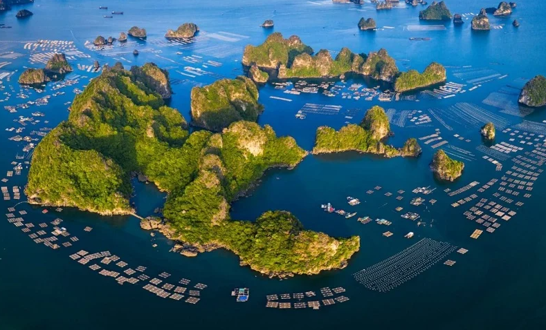 Cho thuê xe máy Vân Đồn