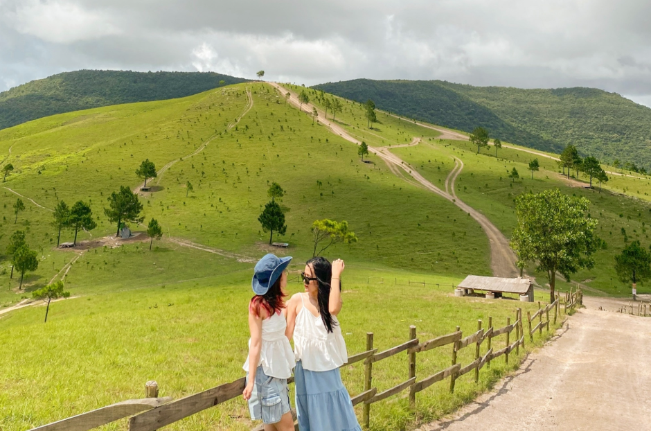 Đỉnh Phượng Hoàng – Thảo Nguyên Xanh Giữa Mây Trời
