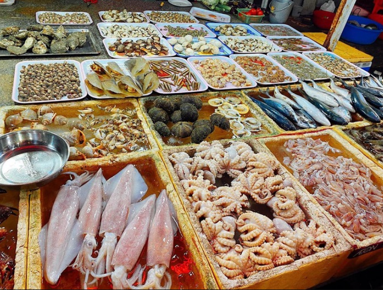 Trải Nghiệm Một Ngày Dạo Chơi Hạ Long Với Chiếc Xe Máy Thuê Giá Rẻ