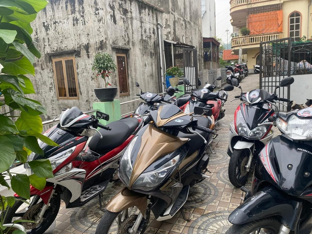 Đỉnh Cao Xiêm: Nóc Nhà Quảng Ninh – Hành Trình Đánh Thức Bản Lĩnh Cùng Kim’s Motorbike!