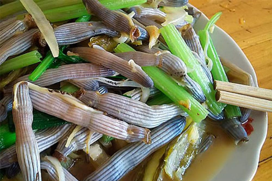 Sá sùng đặc sản Hạ Long